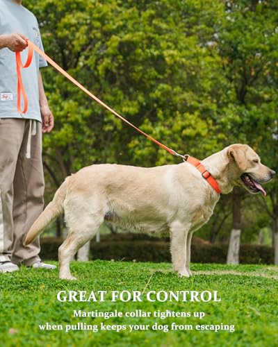 Waterproof Martingale Collar for Dogs,Easy to Clean Dog Collars with Safety Quick Release Buckle,Rubber Collar for Medium Large Dogs Walking Training (Orange, M (16.5-20.8inch)) - color: Orange, size: M (16.5-20.8inch)