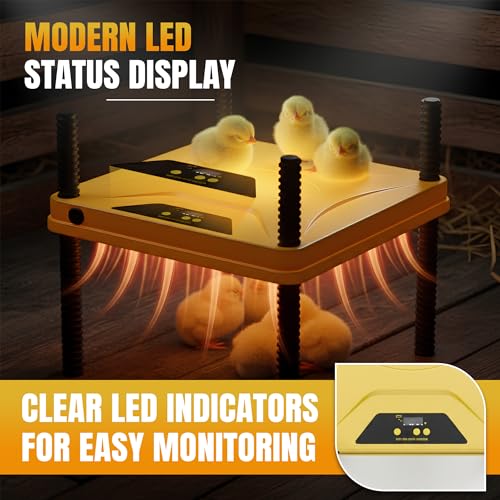 Heating Plate for Chick Brooder Adjustable 75W Chicken Heat Plate 10 x 10 Inch Warmer Brooder Heater for 10-12 Chicks ABC Plastic Material
