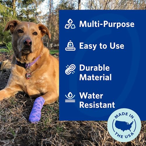 OVIK Health PetFlex No Chew – Flexible Self-Adhering Elastic Bandage for Wound Care – First Aid Wrap for Small Animals Like Dogs, Cats, and Other Pets - 2 inch, 2 Rolls - color: No Chew, size: 2 Count