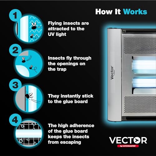 Catchmaster Vector Plasma Screened Wall-Mounted UV Fly Light Trap - 2,850 sq. ft. Catch Zone, Fly Trap for Dining Rooms & Commercial Kitchens and Fresh & Dry Food Storage, UV Lamp Flying Insect Killer - style: Plasma Screened - 2,850 sq ft