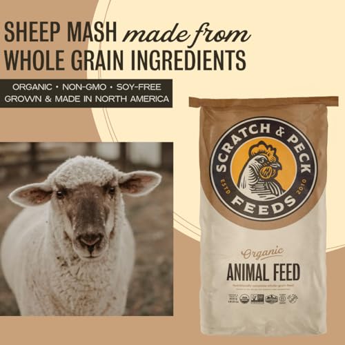 Scratch and Peck Feeds | Sheep Feed | Whole Grain Mash | 40 lb Bag | 15% Protein, Soy Free, Certified Organic & Non-GMO Project Verified, Supplemental Feed for a Forage Diet