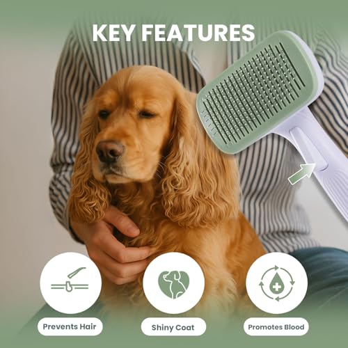 Self Cleaning Slicker Brush for Dogs & Cats, Deshedding Dog Brush | Cat Brushes for Indoor Cats, Removes Loose Undercoat, Mats and Tangles, Skin Friendly Grooming for Long and Short Hair - color: White