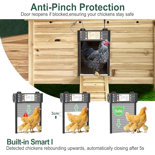 Automatic Chicken Coop Door,Solar Powered WiFi Chicken Door Opener with App | TUYA App Control, Timer and Light Sensor, Door Status Detection, Anti-Pinch Protection, LCD Display, 5 Modes for Coops
