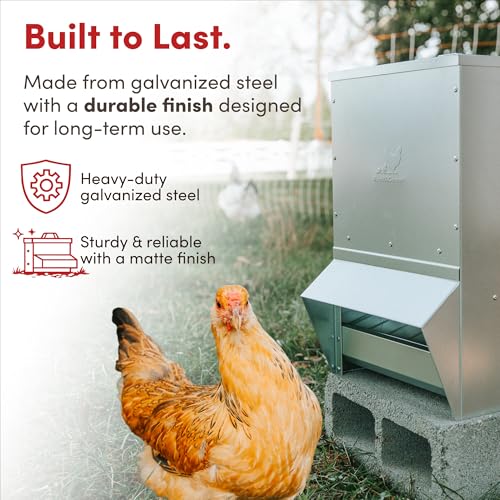 RentACoop 50lb Gravity-Fed Metal Trough Feeder with Lid & Rain Cover - size: 50LB Capacity