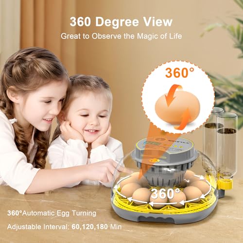 Incubator for Hatching Eggs - 12 Egg Capacity, 360° Viewing for Chicken | Automatic Temp & Humidity Control, Auto Egg Turning & Built-in Egg Candler for Chicken, Duck, Goose & Quail (Grey) - color: Grey, size: 12 Egg