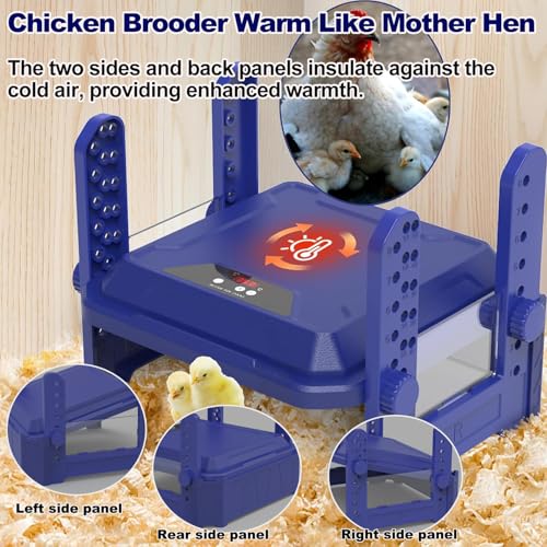 Chick Brooder Heating Plate with Adjustable Temperature, 10"x10" Chicken Brooder Heater for Baby Chicks, Ducklings, Safer Alternative to Heat Lamps, Adjustable Height, 50W Brooder Plate(Blue) - size: 10.0"L x 10.0"W x 3.5"H