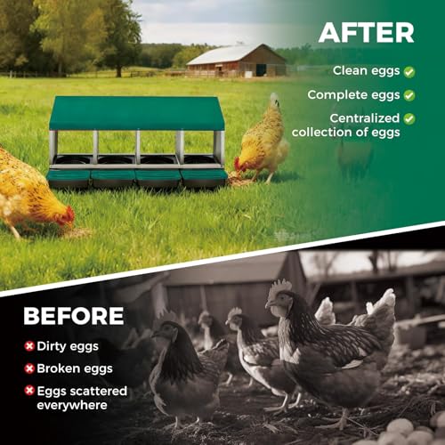 Chicken Nesting Boxes, 4 Compartment Metal Stainless Steel Chicken Laying Boxes with Removable Roll-Away Trays, Vented Holes & 2-in-1 Perch for Chickens Ducks Birds Green - color: Green, size: 1-Tier 4 Compartment