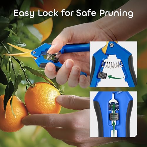 GROWNEER 3 Packs 6.5 Inch Pruning Shears with Curved Blades Trimming Scissors For Gardening Hand Pruning Snips Titanium Coated Precision Blades - style: Blue