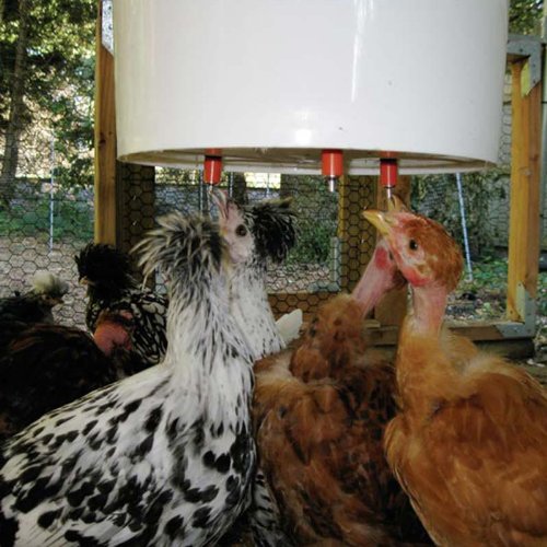 5-Gallon Pail