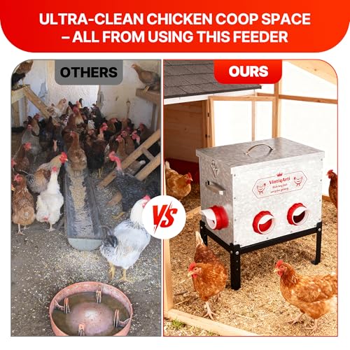 Automatic Chicken Feeder 40LB - 6 Gravity-Fed Chicken Feeders Reduce Waste, Adjustable Legs & Secure Lid, Heavy-Duty Galvanized Steel for Coops (Bright Silver) - color: Bright Silver