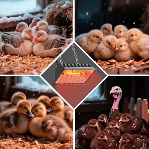 Heat Lamp for Chickens, Halogen Chicken Heat Lamp for Young Poultry, Safe Infrared Chicken Coop & Brooder Heater, Infinite Temperature Control, 50-250W, Even Heating, Adjustable Height, Gray