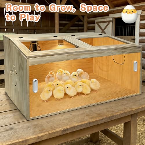 21-Piece Large Chicken Brooder Box 32", All-in-One Kit, Up to 35 Chicks Capacity, Brooder with Heat Lamps, Pee Pads, Thermometer, Cleaning Tools, Chick Brooder Box for Quail, Hamsters, Pattern A - size: 31.5"L x 15.75"W x 15.75"H