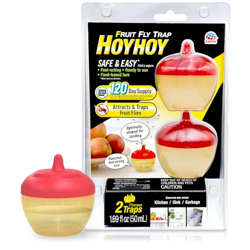 HOY HOY Fruit Fly Trap – 2 Traps (1 Pack) – Attracts & Traps Fruit Flies, Up to 120-Day Supply, Food-Based Lure, Indoor Use for Kitchen, Sink & Trash Areas