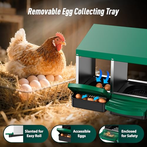 Chicken Nesting Boxes, Roll Away Laying Nest Box for Hens, 3 Compartments | Rollout design with removable drawer for easy egg collection and cleaning, built with durable galvanized steel, Green - color: Green