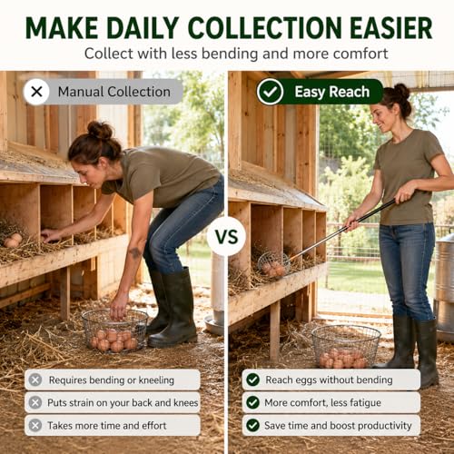Egg Picker Tool with 15-58.5" Retractable Pole and Metal Wire Mesh Basket | Telescopic Retriever Grabber for Backyard Chicken Keeping, Nesting Box and Farm Use