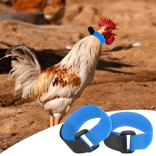 M METERXITY 10-Pack Rooster Collars, 8.07" x 0.79" Adjustable Soft Polyester Anti-Noise Neck Belt for Chickens and Poultry Birds, Noise Control Collar [Blue] - color: Blue