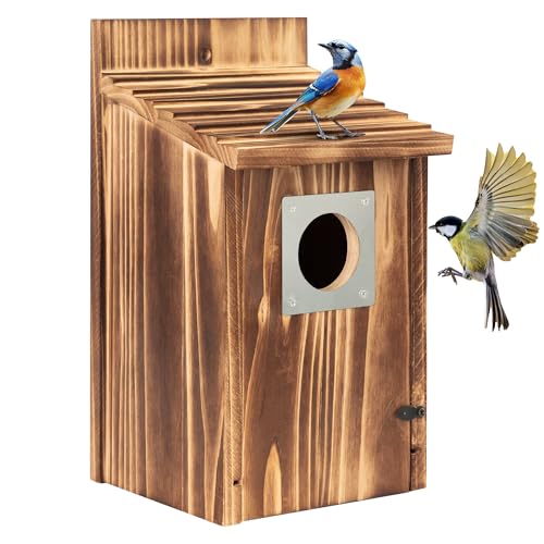 UUMENHA 2 Pack Bird Houses for Outside with Metal Predator Guard | Carbonized Wooden Nesting Boxes for Outdoor, Sturdy Bird House for Bluebird Wren Swallow Finch, ,Easy to Clean