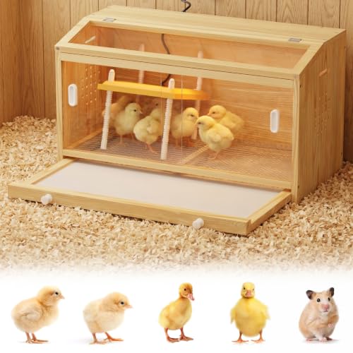 Wooden Chicken Brooder Box with Heating Plate Brooder Heater for Chick Brooder Indoor 32x16x18'' Accommodates Up to 15 Chicks Ideal for Chickens Ducks Quails Hamsters Lizards - size: 31.5 x15.7 x18''