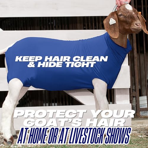 Show Pro Blue Spandex Goat Tube for Show Goats - Made in America. Show Livestock Supplies: Goat Covers & Blankets. (Medium) - size: Medium