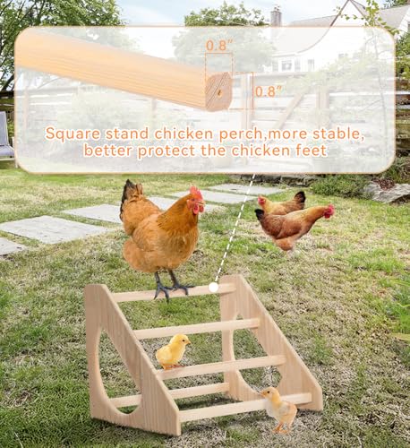 PETSFIT Baby Chick Roosting Bar, Anti-Rotation, Solid Wood, for Brooder | Fits Chicks and Small Birds, Thickened Wooden Perch, Safe for Brooder and Coop, Easy to Assemble and Clean, Non-Toxic Wood