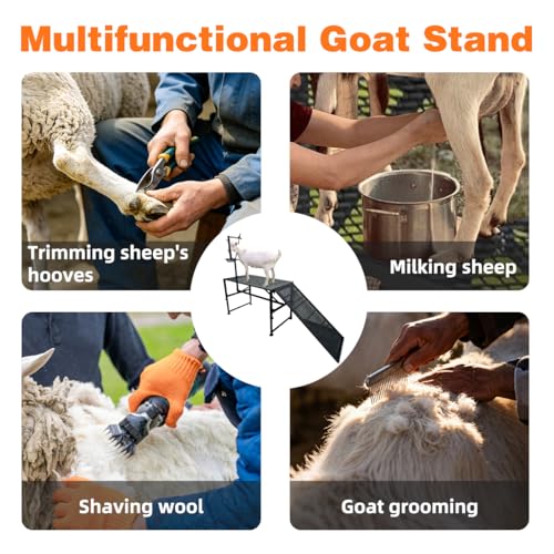 Adjustable Metal Goat Milking Stand，600LBS with Ramp & Feed Bin | Heavy duty livestock organizer suitable for goats, sheep and lambs for daily milking, grooming and hoof trimming on farms.