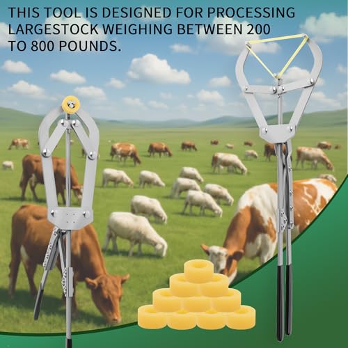 25 Elastrator Bands with Large Stainless Steel Banding Tool Bander Livestock Management Fits Bull,Calves, Goats, Sheep, Easy Application