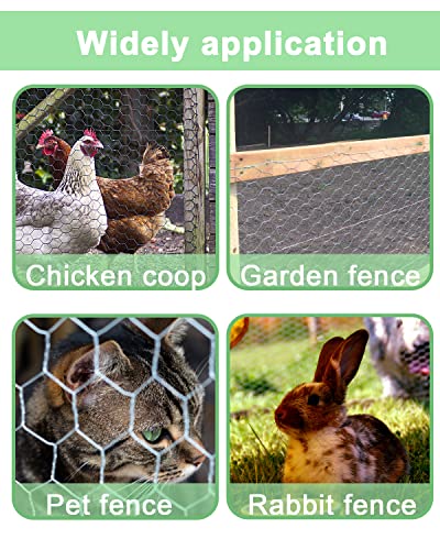 Garden Poultry Black Chicken Wire - 16.5 '' × 590 '' Chicken Wire for Crafts, Garden Fence Animal Barrier, 1 inch Mesh Poultry Netting Fence, Pet/Rabbit/Chicken Wire Fencing - size: 16.5 inch x 49.2 Ft