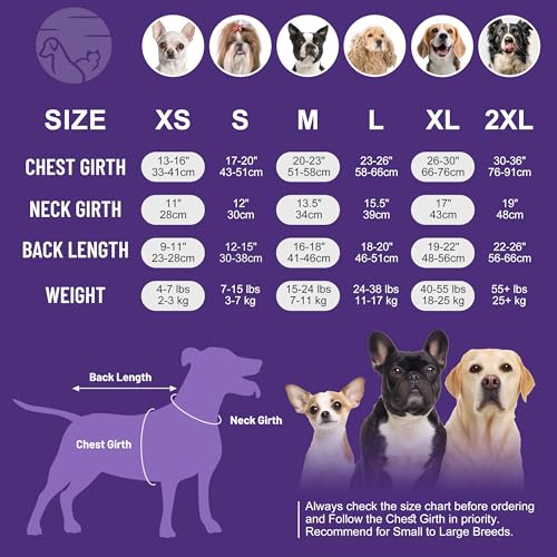 cyeollo 2pack Dog Surgery Recovery Suit Surgical Onesie for Female Dogs | After Spay & Neuter Body Suit, Prevents Licking, Cone Alternative, Protects Surgical Wounds, Easy Potty Access, 4-Way Stretch - color: 8# Pink & Purple (2Pack), size: X-Small (Back: