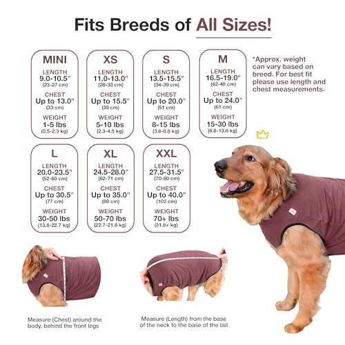 Dog Surgery Recovery Suit, Male Female After Spay Neuter Onesie | Soft Breathable Cotton, Anti-licking Cone Alternative, Protects Stitches & Abdominal Wounds, Patented Clip-up Potty System - color: Rose, size: Mini