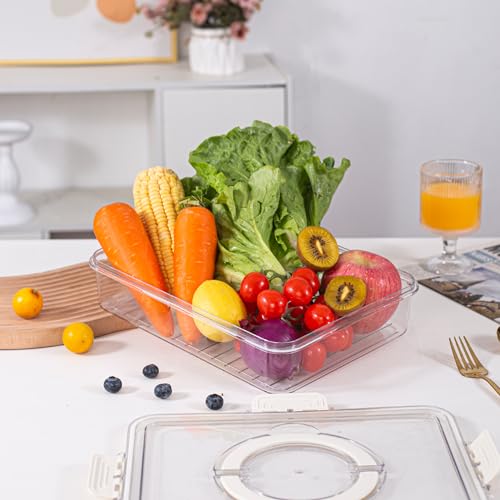 Amzcku Divided Serving Tray with Lid and Handle - Snackle Box Charcuterie Container (Pack of 2) - size: 2 pack 8 Compartments