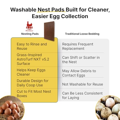 HenGear Nesting Pads, Astroturf NXT v5.2, Washable and Reusable, Small | Nesting Pads for Chicken Coop, Durable AstroTurf Nest Pad Material for Clean Egg Collection, Comfortable Laying Surface - size: Small