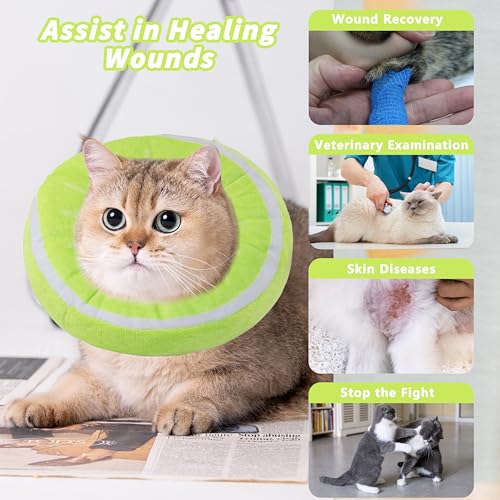 Soft Cat Cone Collar, Cute Cats Recovery Collar Suitable for Cats | Cat cone for Small, Medium, Large cat,Elizabethan Neck Collar for Cats After Surgery (Kiwifruit, Medium) - color: Kiwifruit, size: Medium