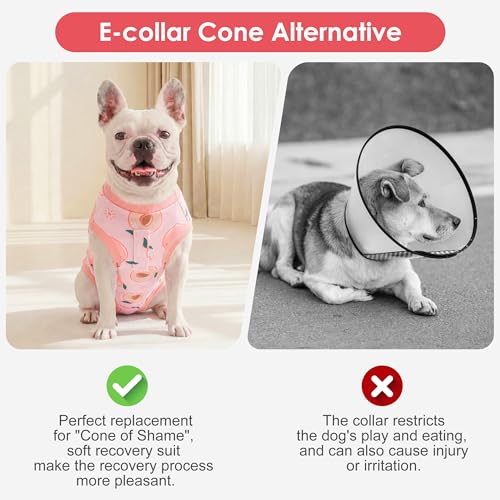 cyeollo Dog Surgery Recovery Suit, Spay Neuter Onesie for Female Male Dogs | Prevents Licking, Cone Alternative, After Spay & Neuter Body Suit, Protects Surgical Wounds, Easy Potty Access, 4-Way Stretch - color: 3# Peach, size: X-Small (Back: 9"-11")