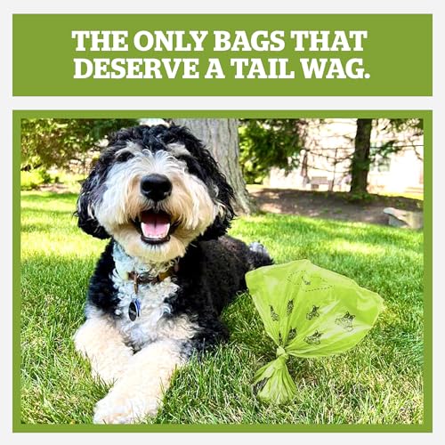 Pogi's Compostable Poop Bags for Home & Yard – Leak-Proof, Extra-Large, Made with Plants (Single Roll, 300-Count) - size: 1 Count (Pack of 300)
