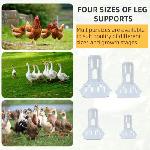 4 Sizes Poultry Leg-Splint Set, Leg Support for Injured Chicken, Goose, Duck - color: White