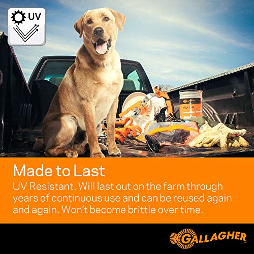 Gallagher Electric Fence Poly Tape | Ultra White 656 Ft Roll | 5 Stainless Steel Rust Resistant Strands | Suitable for Portable & Semi Permanent Electric Fences | UV Resistant 1/2" Diameter Poly Tape