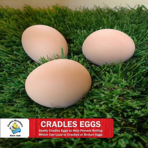 Cackle Hatchery Laying Hen Nest Box Turf - Easy to Clean & Lasts for Years in Chicken Nesting Boxes (6 Pack)