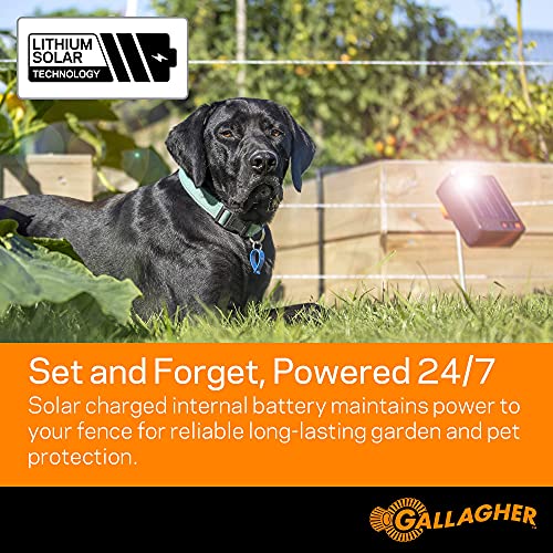 Gallagher S6 Solar Electric Fence Charger | Solar Fence Energizer for Gardens, Chickens, Goats, and Pets | Solar-Powered Fence Charger with Lithium Battery | Mounts Directly to Grounding Rod