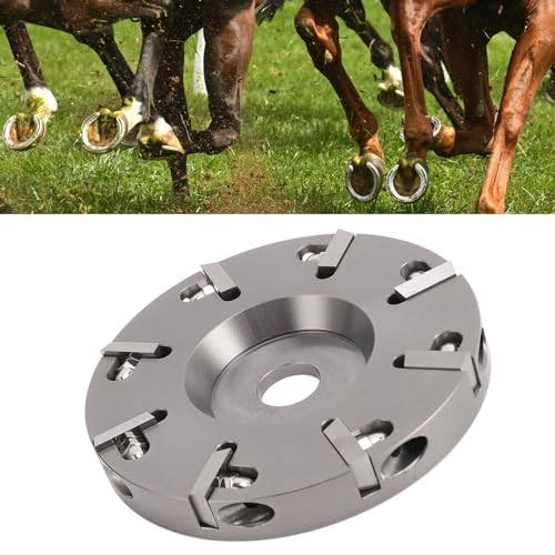 Livestock Hoof Trimming Disc, Plate Hoof Trimming Discs Hoof Grinding Discs Claws Hoof Care Tool with 8 Teeth Steel, 3.9x3.9x0.6in Hoof Nipper Knife Tool for Livestock Sheep Cattle