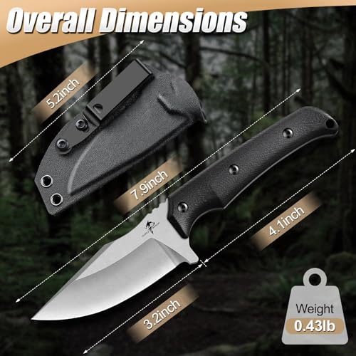 Purple Dragon Fixed Blade Knife - Full Tang Hunting Knife Black | Kydex Sheath, Forged from a Single Piece of D2 Steel, G10 Handle, Gift Box - size: 3.3 inch