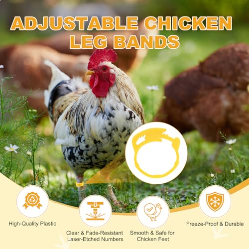 M METERXITY 50-Pack Adjustable Chickens Leg Bands, 17-22 mm Plastic Poultry Identification Chicken Leg Rings for Turkey/Duck/Goose/Chicks, Colorful Numbered Foot Clip on Tags [Yellow] - color: Yellow