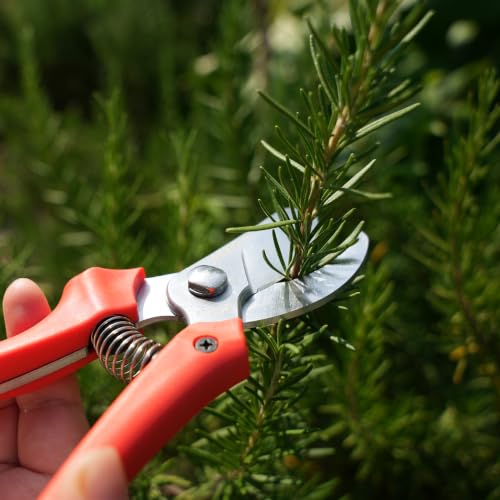 AGRICUT 7" Pruning Shears Heavy Duty Professional, Made of Japanese SK5 Steel Blades, 4/5 Cut Capacity, Bypass Hand Pruners Garden Clippers for Tree Flower Branch Trimming, S20E - style: PP Handle, High Carbon Steel