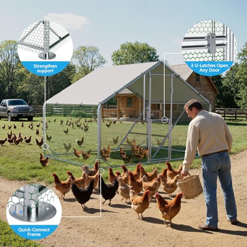 Large Metal Chicken Coop, Outdoor Chicken Run with Cover, 10 x 6.5 x 6.5 FT | Heavy-Duty Poultry Enclosure & Chicken Pen with Split Doors, Galvanized Steel Frame, Free Wire Mesh Fence and Roosting Ladder - size: 10' x 6.5'