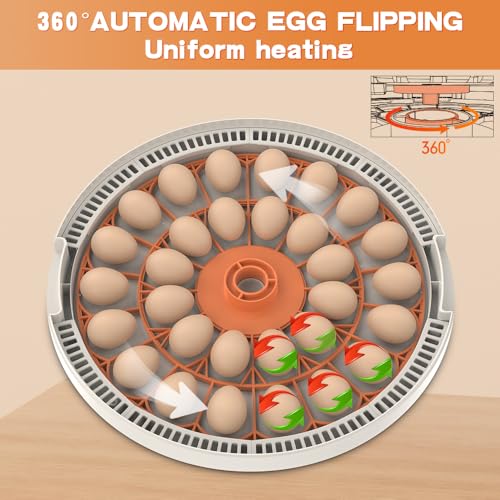 30 Egg Incubator with Automatic Temperature Control, 360° Auto Egg Turning, Humidity Display, LED Candler