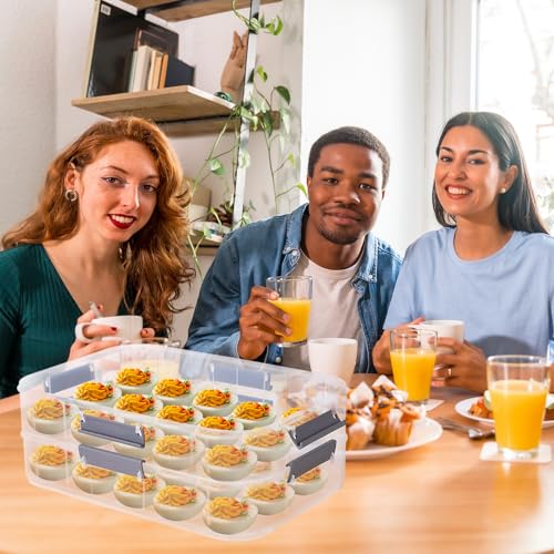 2-Layer Deviled Egg Containers with Lid,36 Slots Deviled Egg Tray Carrier | with Handle and Deviled Egg Injector Piping Tool,Portable Egg Storage Carrier Tray Platter for Party Picnic Travel (white) - color: white