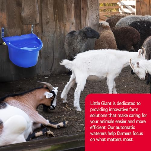 Little Giant FW16BLUE 4 Gal Auto Float Controlled Waterer Livestock (2 Pack)