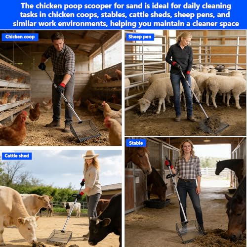 13-inch Sand-Grade Chicken Poop Scooper, Large Adjustable Metal Poultry House Manure Scoop, Chicken Poop Scooper Suitable for Cleaning Chicken Coops, Stables, Gardens, and Small Farms