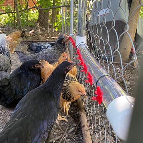Hedume 50 Pack Horizontal Poultry Water Nipples, Automatic Side Mount Chicken Drinkers for Ducks, Quail and Other Poultry