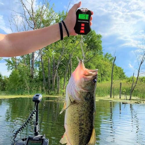 440lb/200kg Digital Crane Scale - Compact LCD Handheld Hanging Scale for Garage, Farm, Hunting, Fishing & More(200kg/Black) - color: Black（440lb/200kg）
