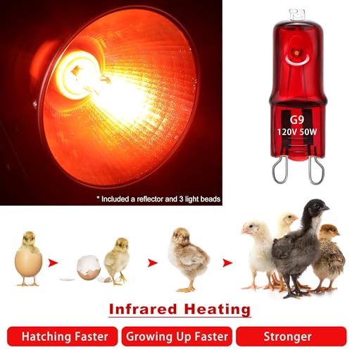 Heat Lamp for Chickens Coop Tiny Chick Brooder, Infrared Flood Light Red Bulbs Replaceable E26 Base 50 Watt Chick Heater for Reptile Pets Duckling Poultry Livestock
